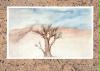 Aquarell